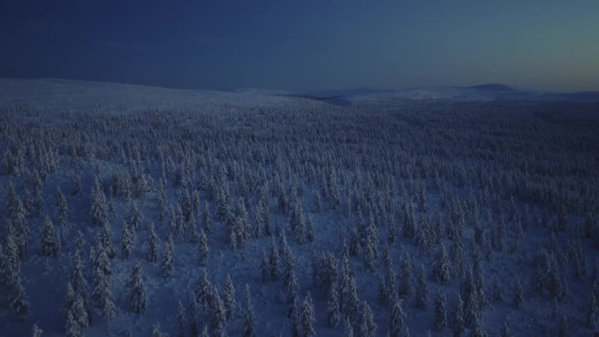 An aerial view captures a vast expanse of snowcovered pine trees under a dark blue sky the landscape is blanketed in winters white creating a serene and vast scene