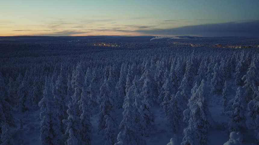 An aerial view of a forest covered in snow