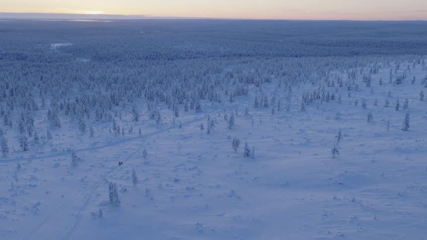 Aerial view of a forested landscape that is completely covered in snow