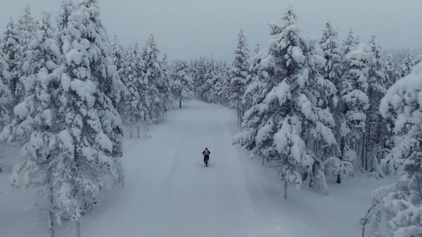 A person rides a bicycle down a snowcovered road through a dense winter forest