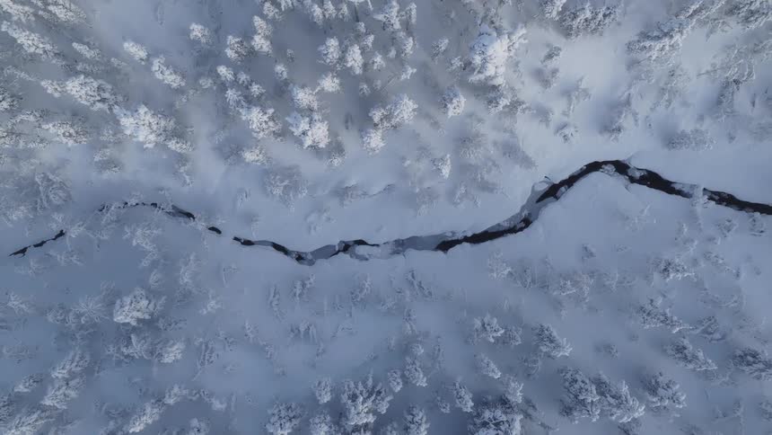 The small stream runs through the frozen area