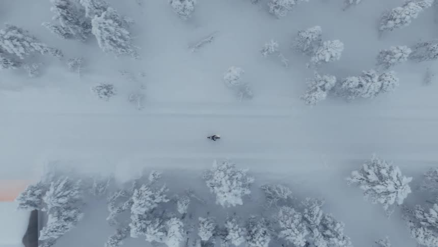 A person riding a bike through a snowy forest at midday passing by a cabin as all the trees are covered in snow