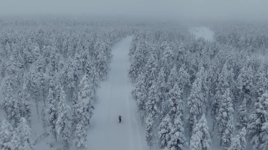 A lone bicyclist pedals their bike through a snow covered forest road