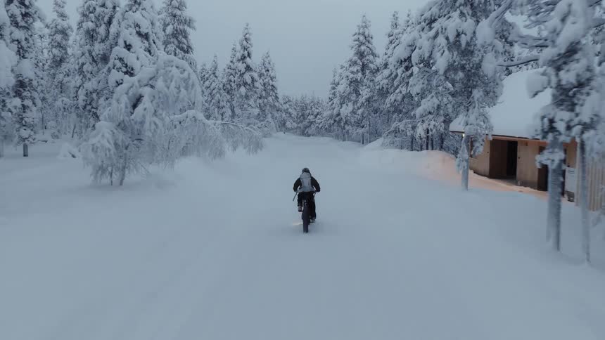 A person rides a fat bike on a snow covered road through a forest