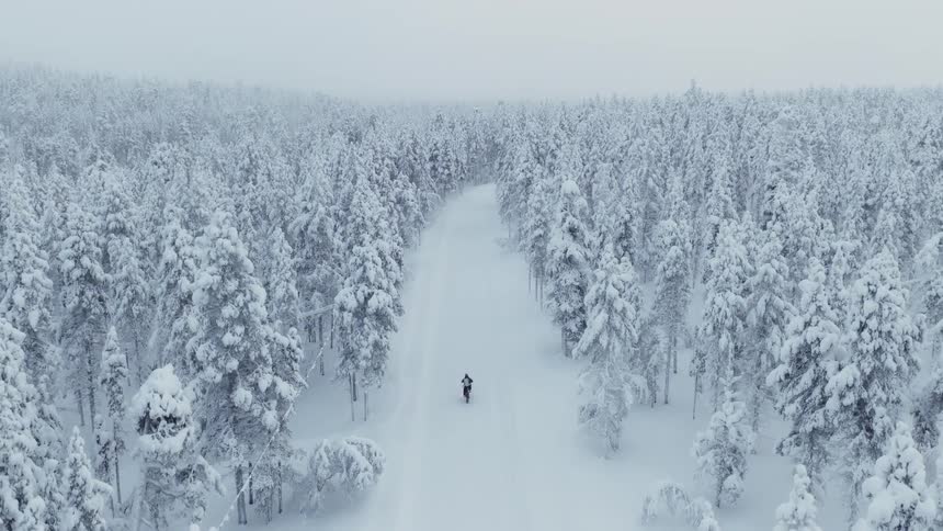 A person cycles on a snow covered road through a winter forest