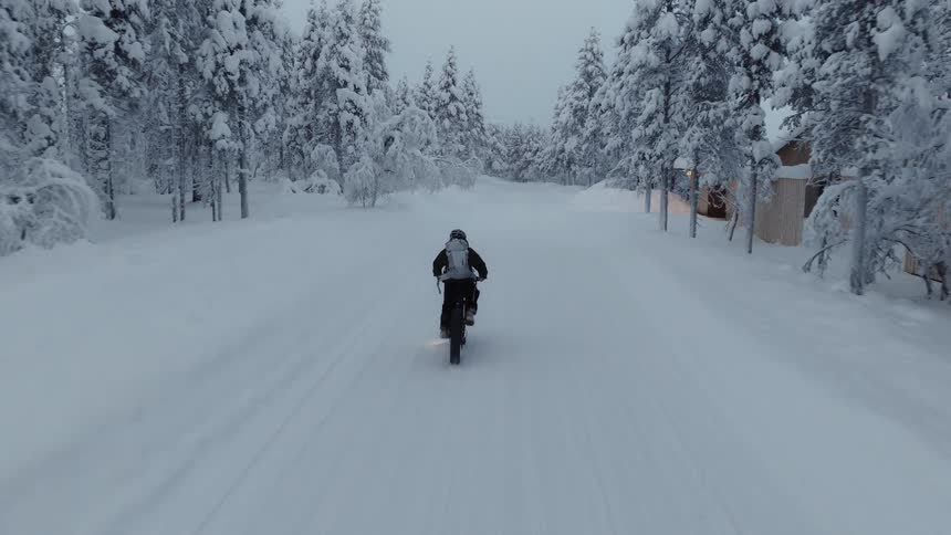 A person rides a fat tire bicycle down a snow covered road through a dense winter forest