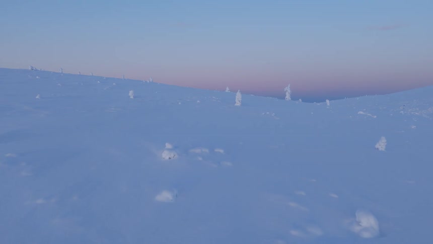 A wide view of a snowy mountain slope with small trees covered in thick frost under a soft pink and blue twilight sky during a cold winter evening