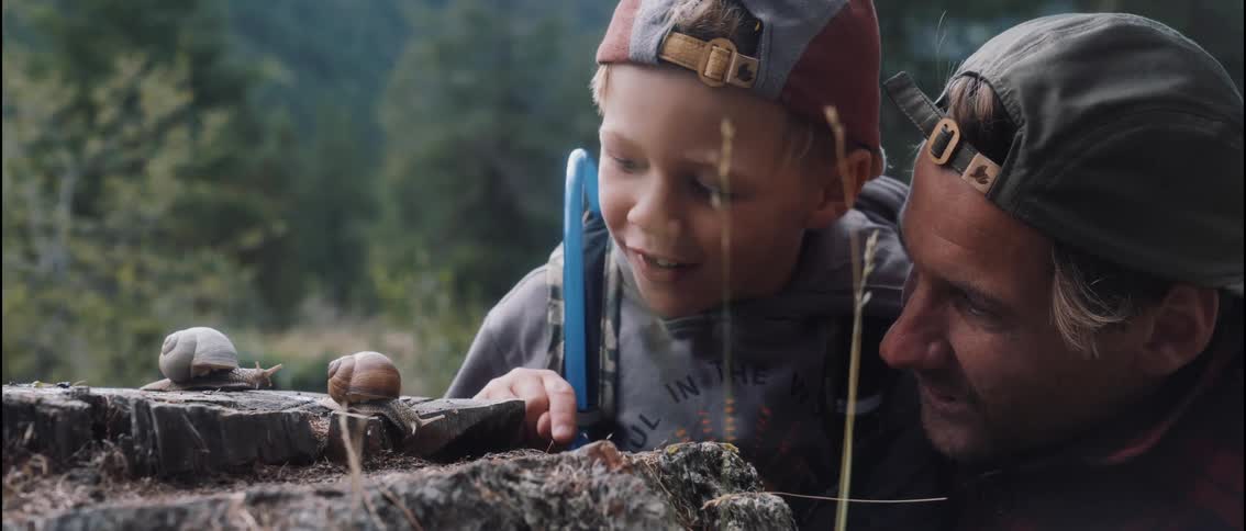 A young boy in a grey hoodie and his father watch two snails crawl across a weathered tree stump in a forest