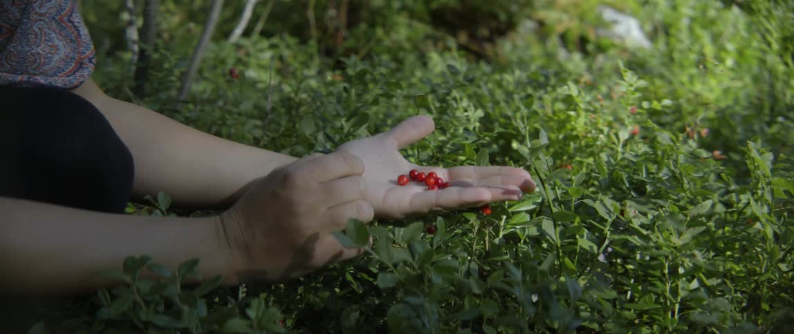 Young woman holding a handful of harvested red berries while standing in nature.
