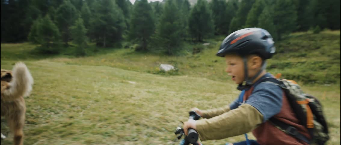 A young boy wearing a helmet and backpack rides a black mountain bike down a grassy slope in the mountains while a brown dog runs alongside him against a backdrop of dense evergreen trees during a cloudy day in the wilderness