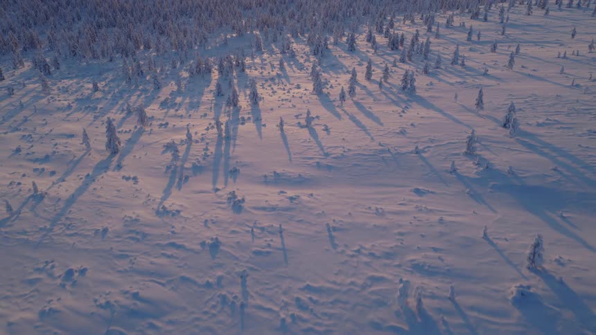 Aerial view of snow covering the mountain and trees in the forest across the landscape as the sun shines on the horizon