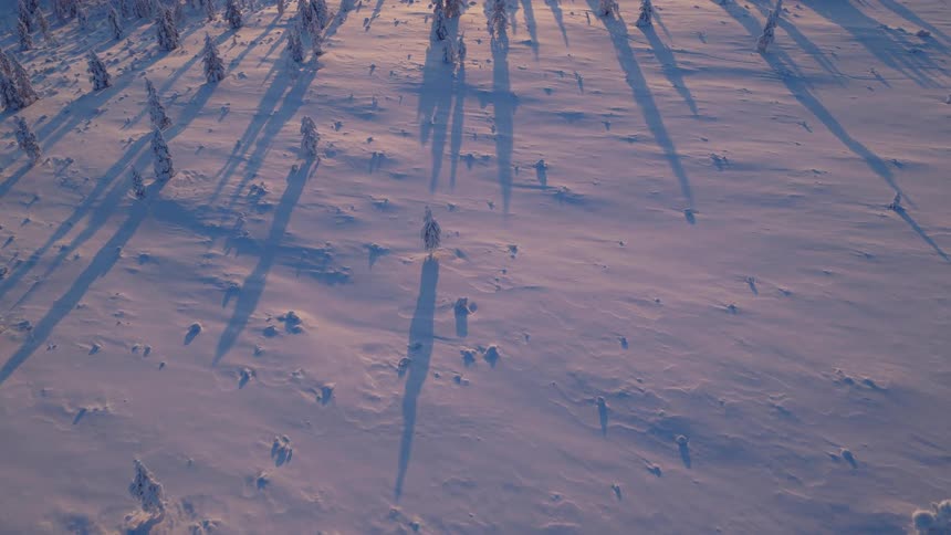 The sun is rising on the frozen landscape