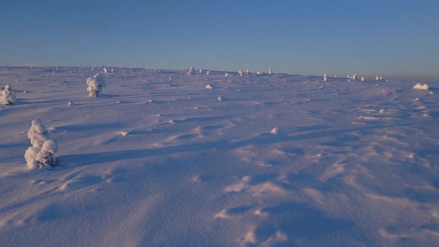 Sunlight shines on snow covered trees on a mountain