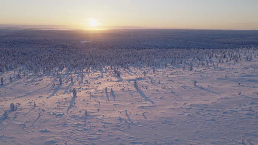 The sun rises over a vast snowy landscape covered with scattered trees casting long shadows across the frozen ground