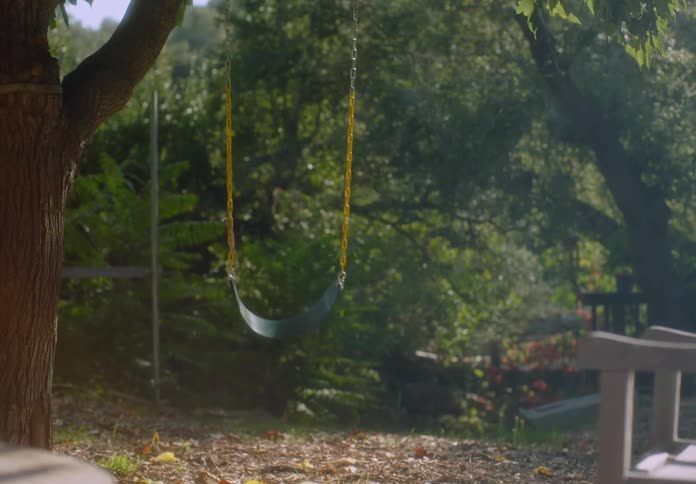 Empty swing hanging from a tree in a wooded area