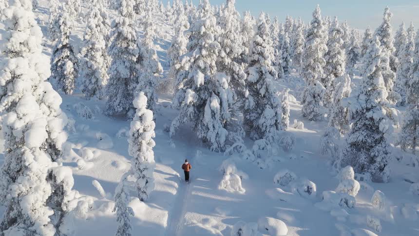 Hiker walking on a path through a snow covered mountain forest