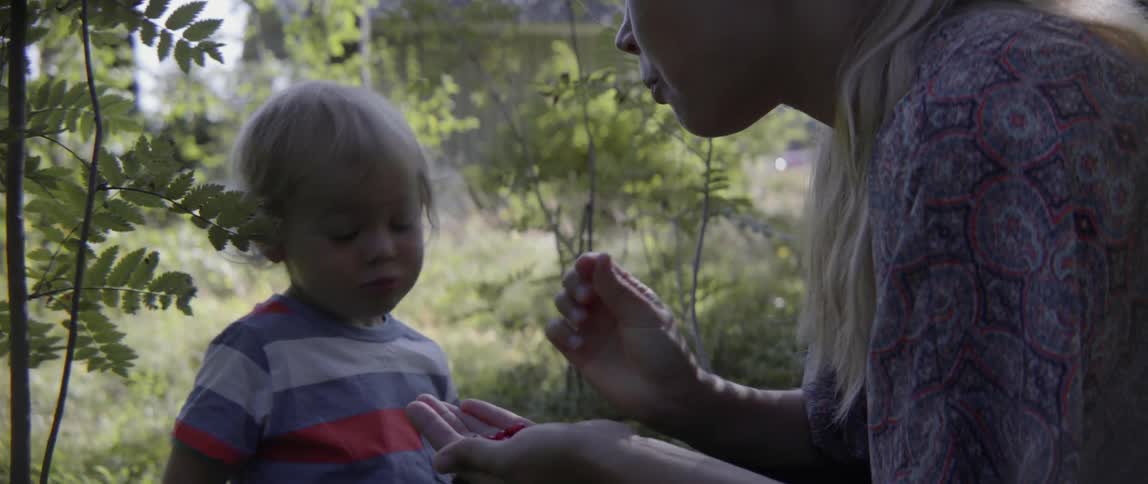 A woman and young boy enjoy eating fresh red berries together in the woods.in the woods