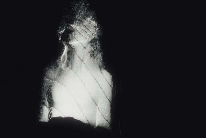 A haunting monochromatic aesthetic where a silhouette is distorted by shifting light and staticlike textures the highcontrast shadows and jittery visual effects create a sense of mystery or psychological tension
