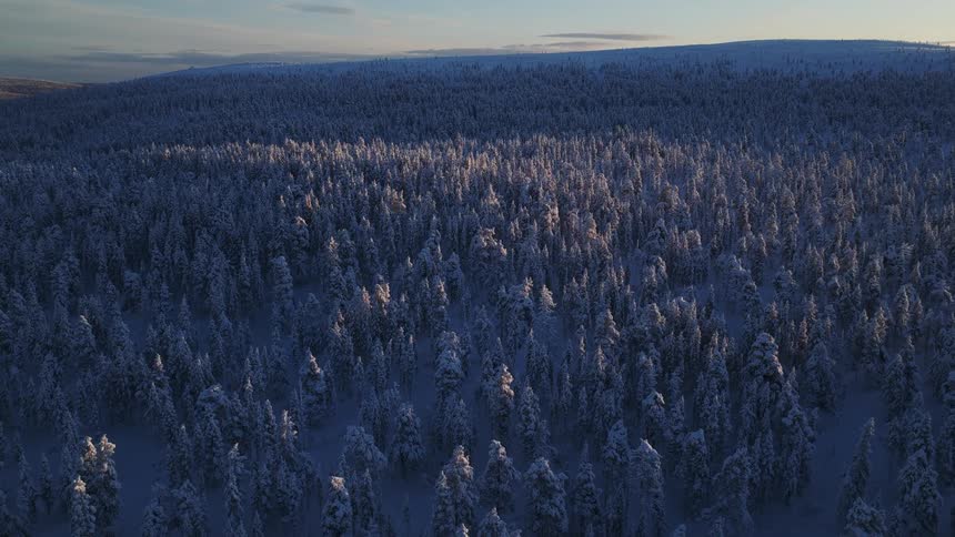 The landscape is covered with snow covered trees during the day