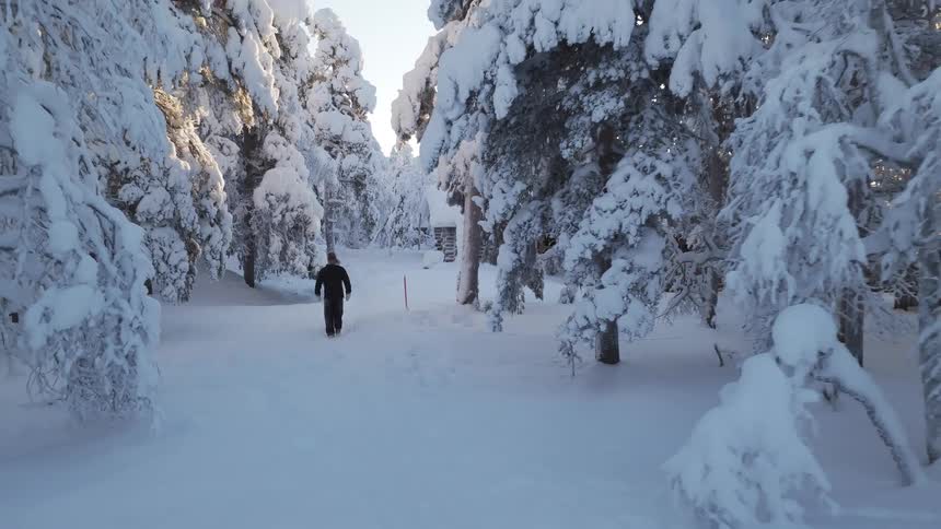 A person walks away from the camera on a snowy path through a forest of snow covered trees