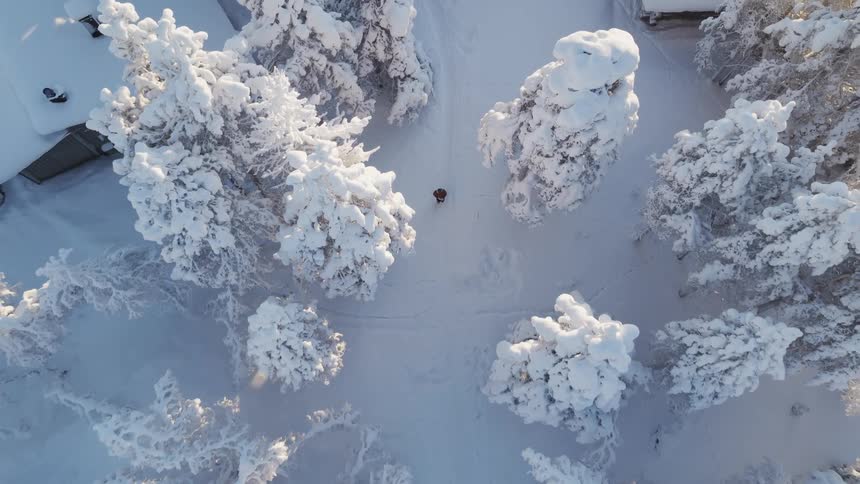 An overhead aerial shot shows a person walking on a snow covered path through a forest