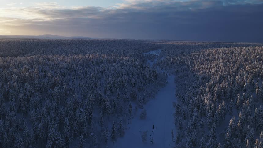The large forest has a path of white snow in the middle