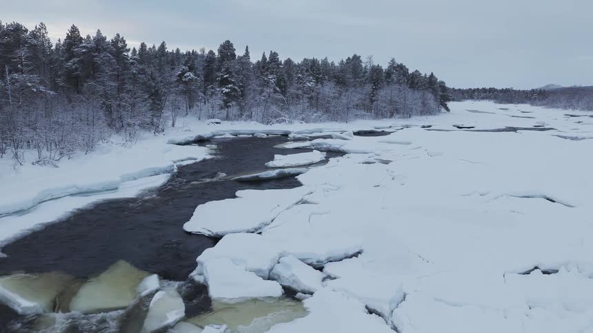 An aerial view shows a dark river flowing through a wide snow covered landscape with a dense pine forest on the bank under an overcast sky during winter