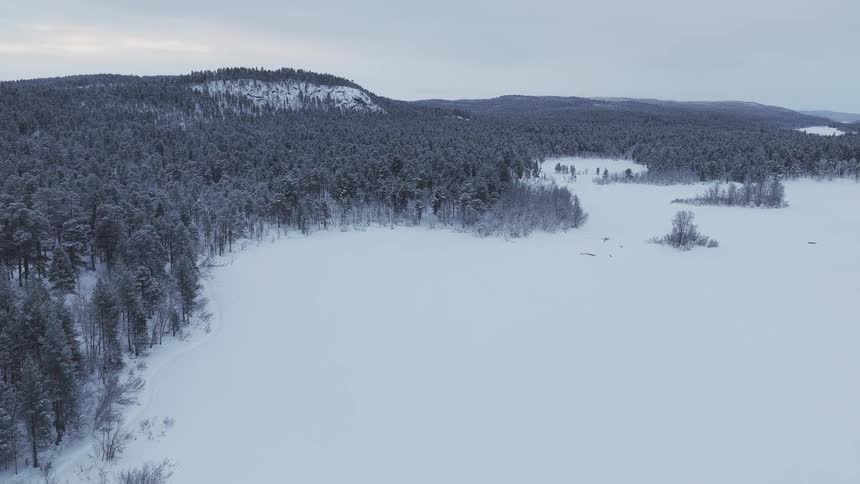 Snow covered forested mountains across the landscape under a cloudy winter sky