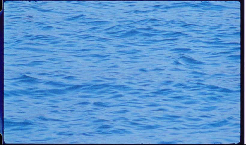 A view of some waves in the ocean