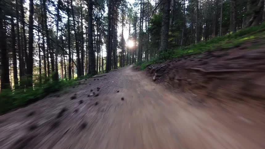 Moving over a trail on a forested mountain