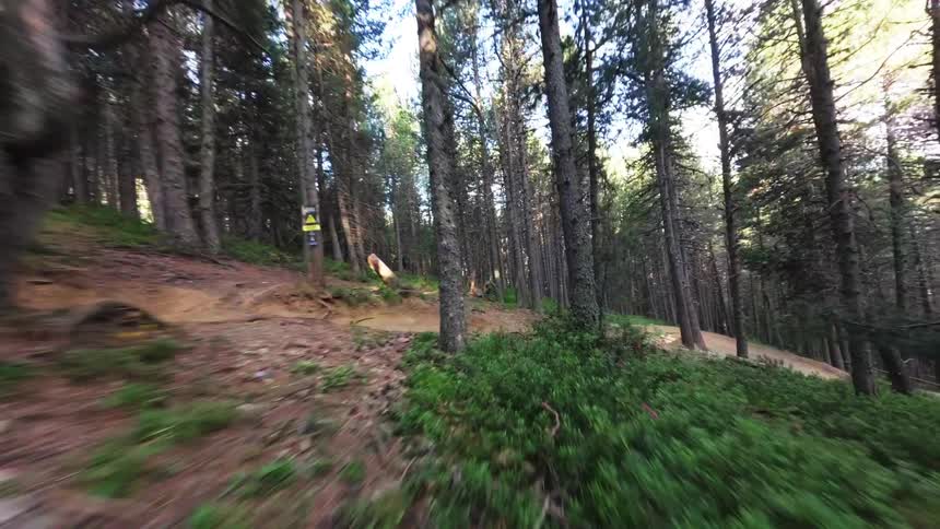 A first person perspective follows a mountain bike trail winding through a dense pine forest