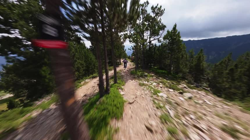 A bicyclist is moving fast on a dirt path through a forest in the mountains