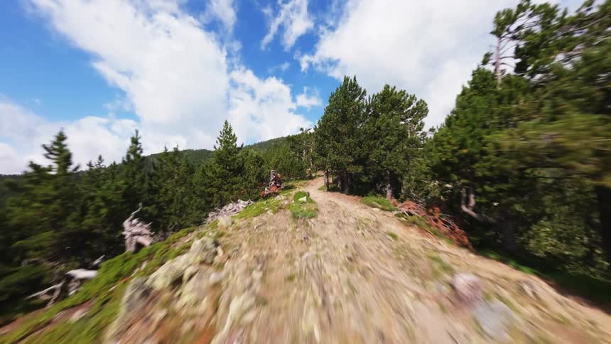 Dirt trail in a mountainous area surrounded by trees under a cloudy sky