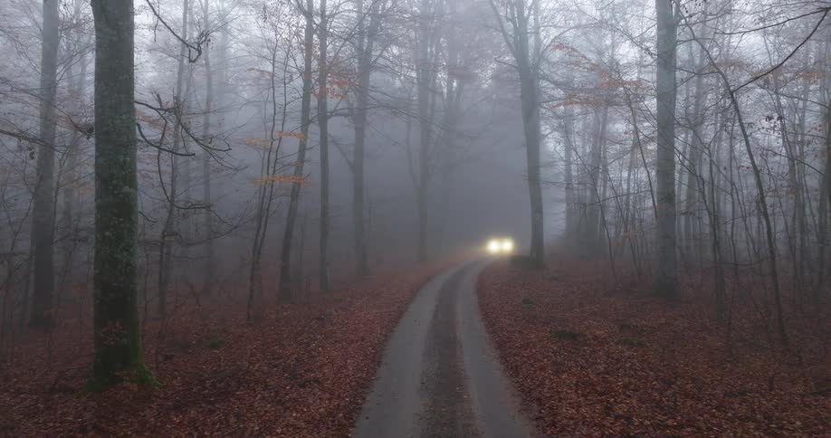 A car with glowing headlights drives down a narrow dirt road winding through a dense foggy forest filled with bare autumn trees and fallen leaves covering the ground on a misty morning