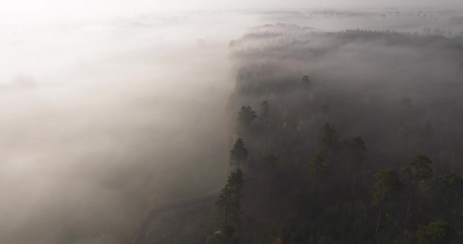 Fog covering a forest area seen from above