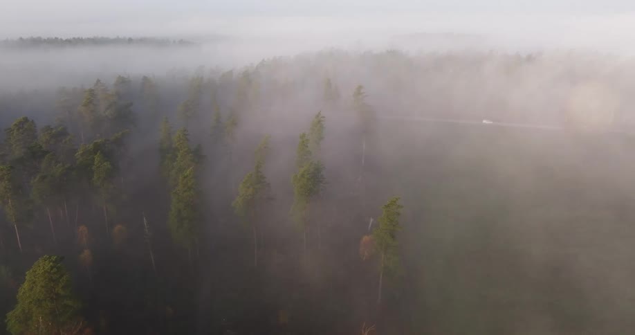Thick heavy fog hangs low over a forested mountain valley as traffic moves on the road