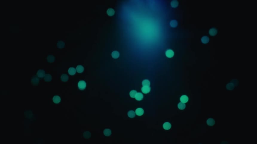 A view of some fiber optic lights