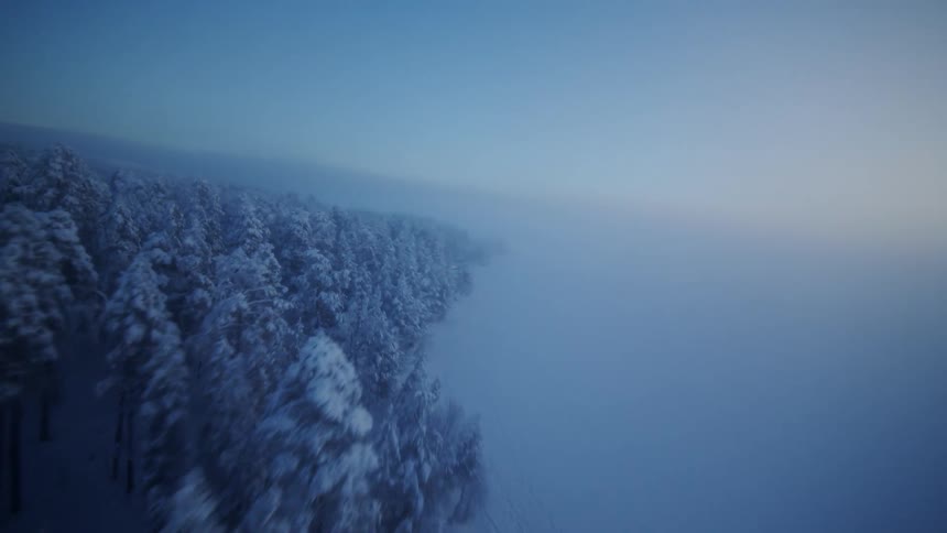 Snowcovered forest partially enveloped by dense fog