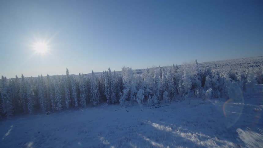 Snowcovered forest illuminated by the sun with hills on the horizon