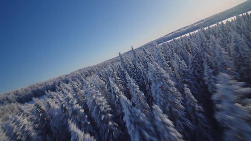 An aerial view of a forest covered in snow