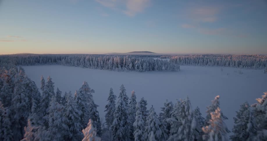Snowcovered forest illuminated by soft light with a wide clearing in the background