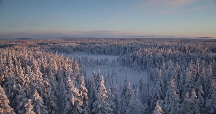 Sunlight shines on a snow covered forest of trees across the landscape