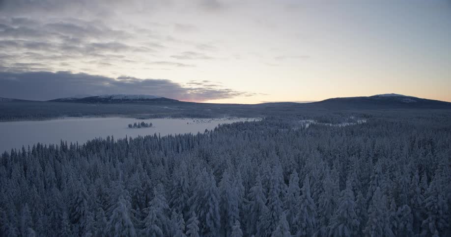 Snowcovered forest at sunrise with low fog and mountains in the background