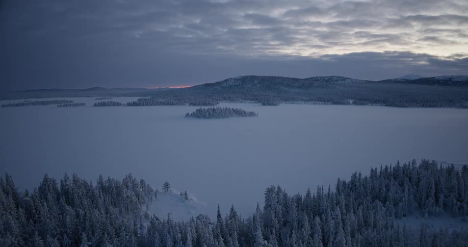 An aerial view of a snow covered landscape and trees
