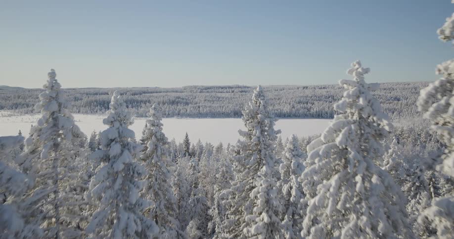 An aerial view shows a camera flying over snow covered evergreen trees toward a frozen white lake surrounded by a vast wintry forest under a clear blue sky
