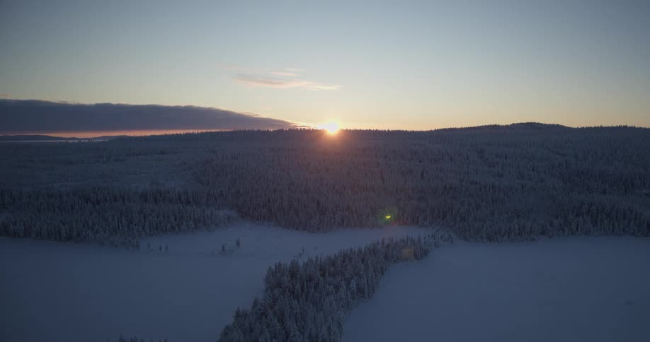 Snowcovered forest landscape with a wide clearing at dusk