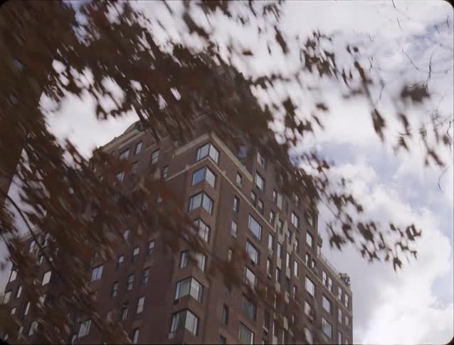 Lamp post and trees on the street with tall apartment buildings
