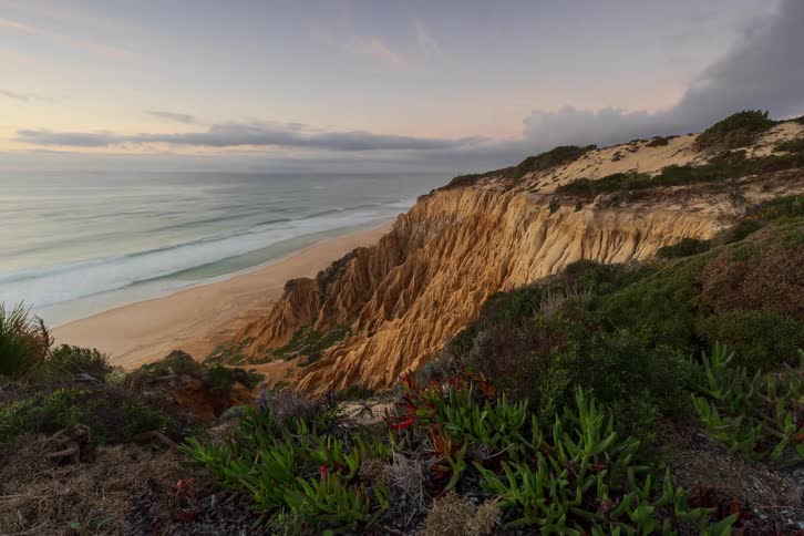 A view from a high cliff with green plants in the foreground looks down at a wide sandy beach and ocean waves during a sunset that casts a warm orange glow on the rugged coastline