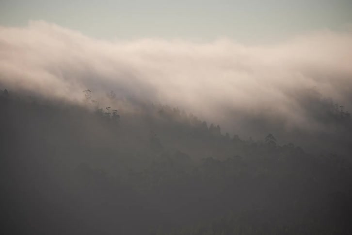 Sunlight shines on clouds moving over forested mountains
