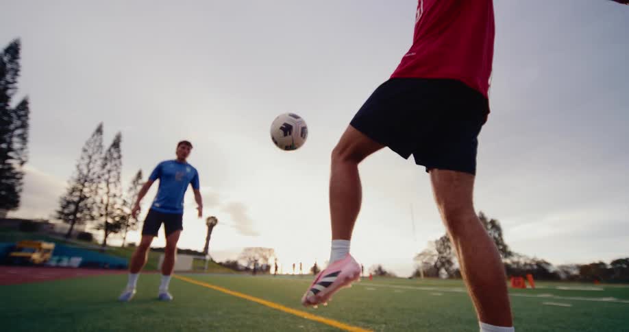 Two players passing a soccer ball on a sports field